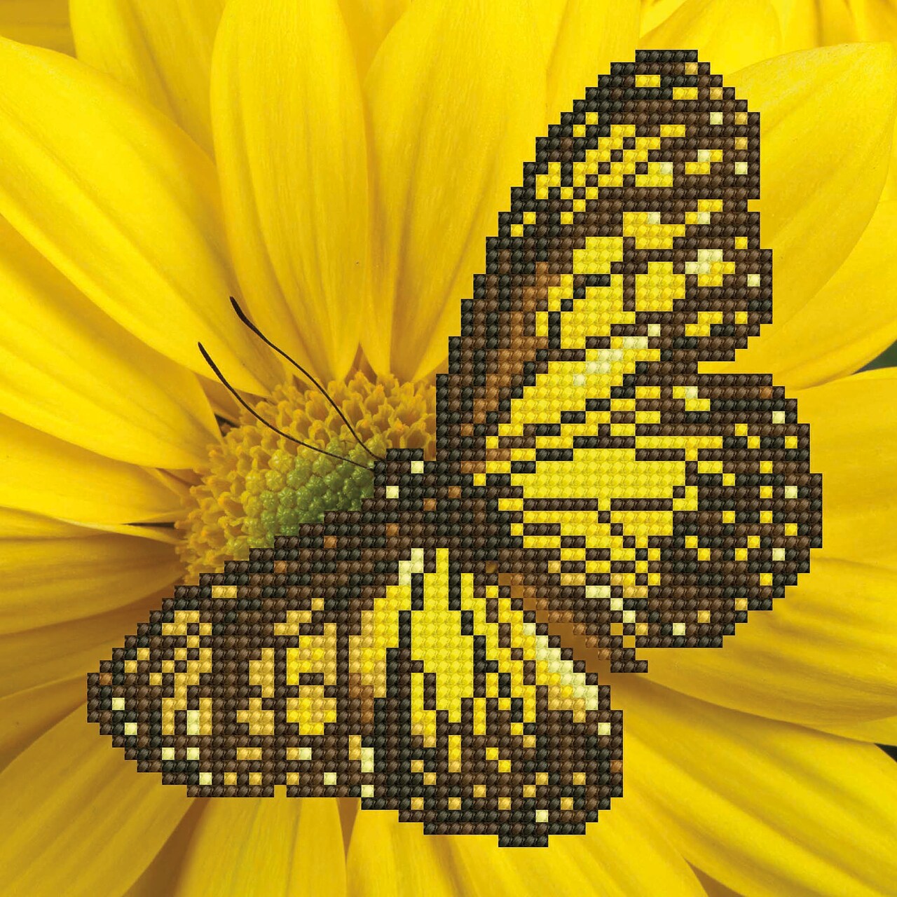 DIAMOND ART BY LEISURE ARTS Butterfly, 8"x8", Beginner Diamond Painting Kits for Adults, Diamond Art for Adults, Diamond Art Kit, Diamond Art Painting